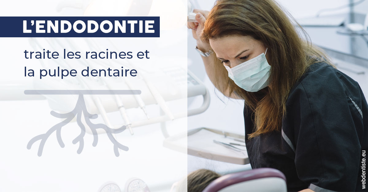 https://www.centredentairedeclamart.fr/L'endodontie 1