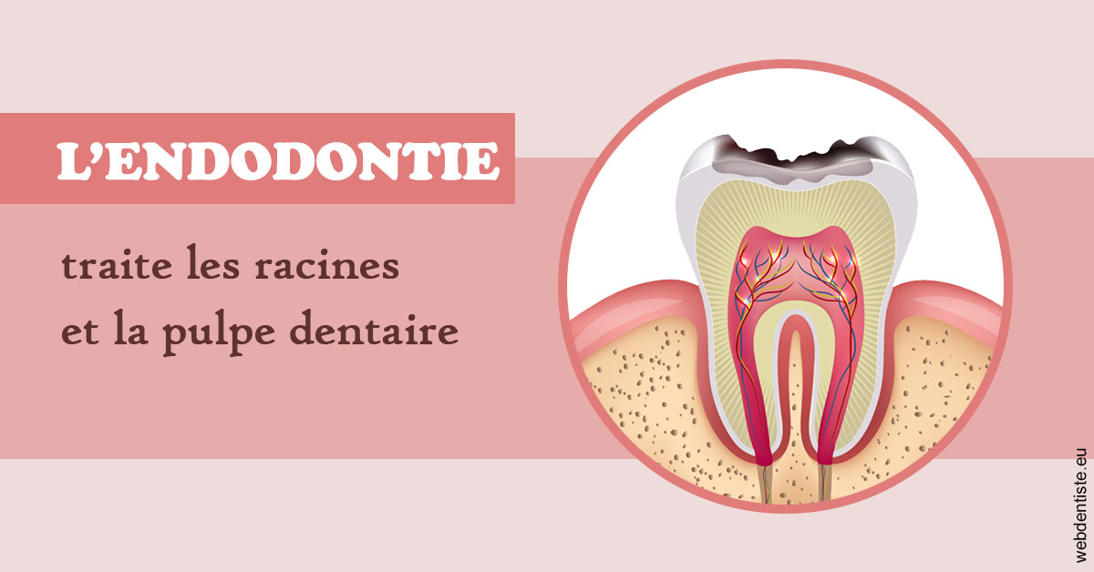 https://www.centredentairedeclamart.fr/L'endodontie 2