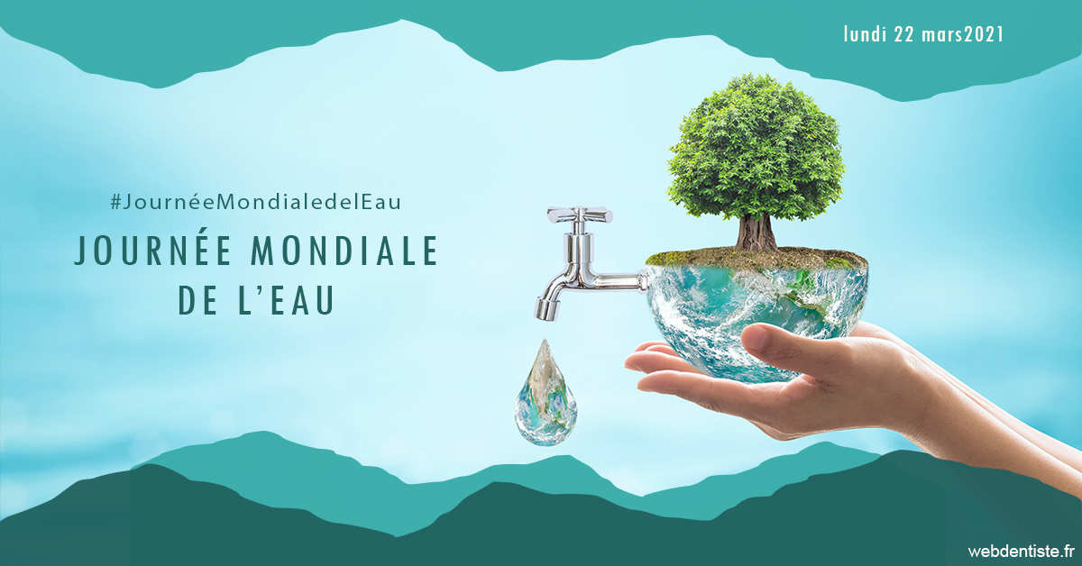 https://www.centredentairedeclamart.fr/Journée de l'eau 1