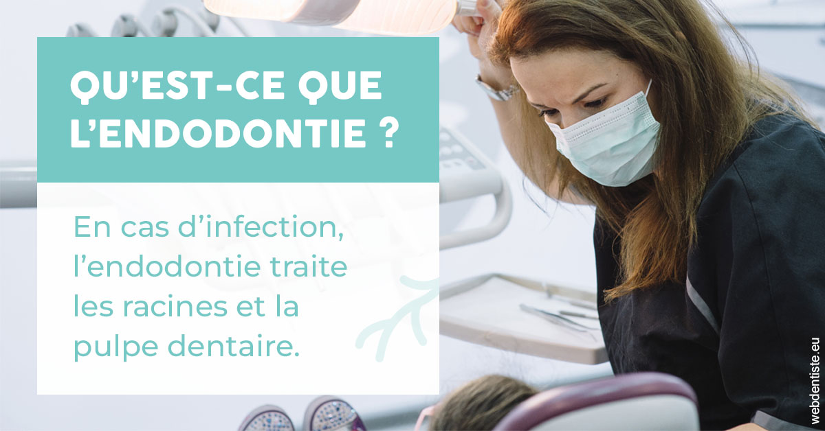 https://www.centredentairedeclamart.fr/2024 T1 - Endodontie 01
