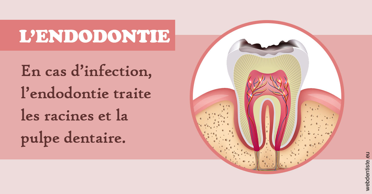 https://www.centredentairedeclamart.fr/L'endodontie 2